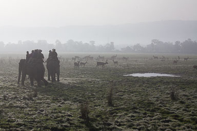 Assam - November 2012