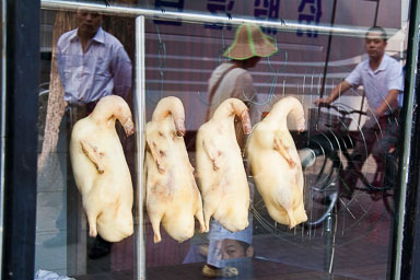 China reis - PUM - 2009