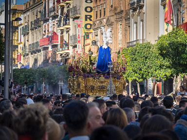 Semana Santa  -  2016