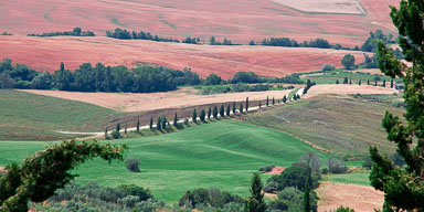 Toscane - Italie - 2010