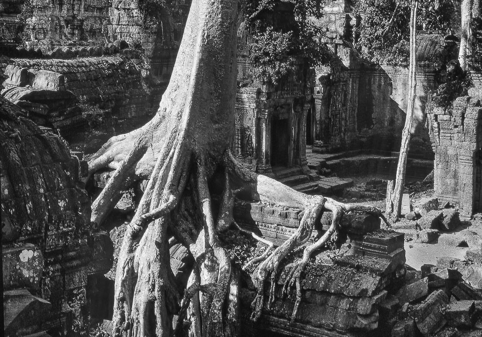 AnkorWat-2-_025-bew2-plat.jpg