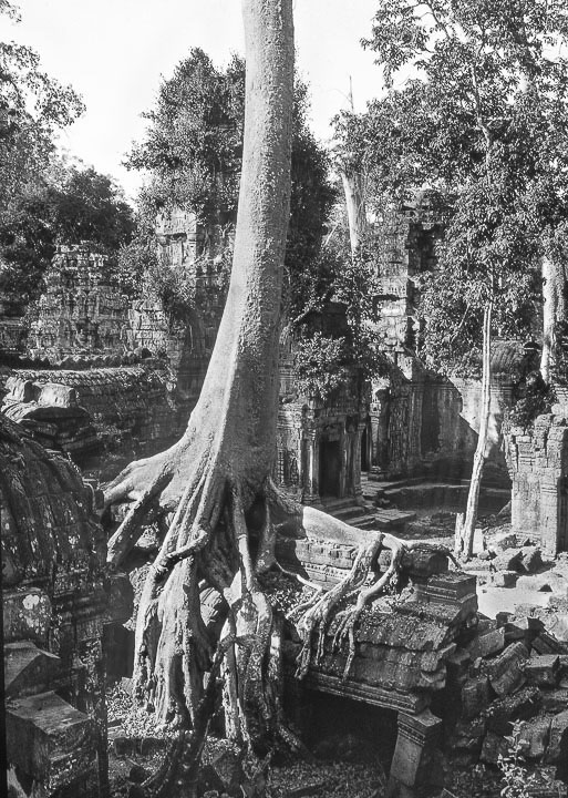 AnkorWat-2-_025-bew2-plat_30x42.jpg